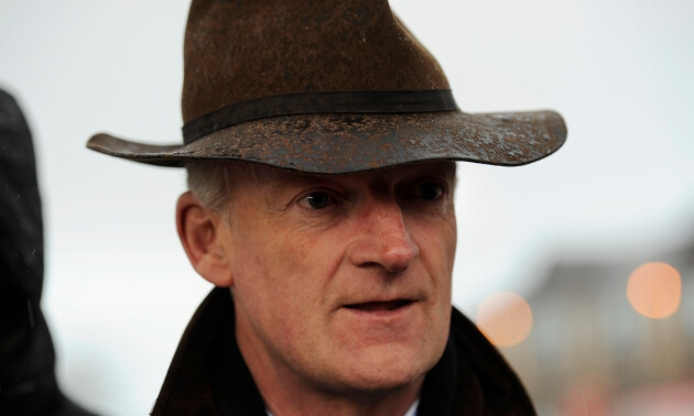 cheltenham tips