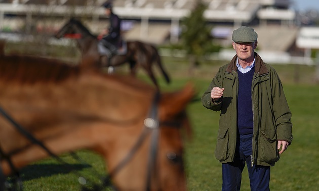 Cheltenham news