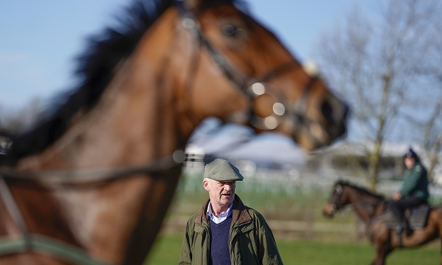 Cheltenham news