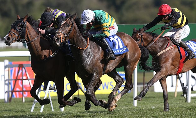 anibale_fly_close_up_finish_630_x_3780.jpg