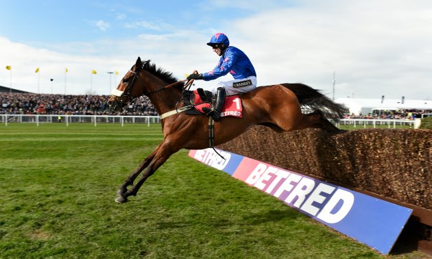 cue_card_aintree_630_x_3781.jpg