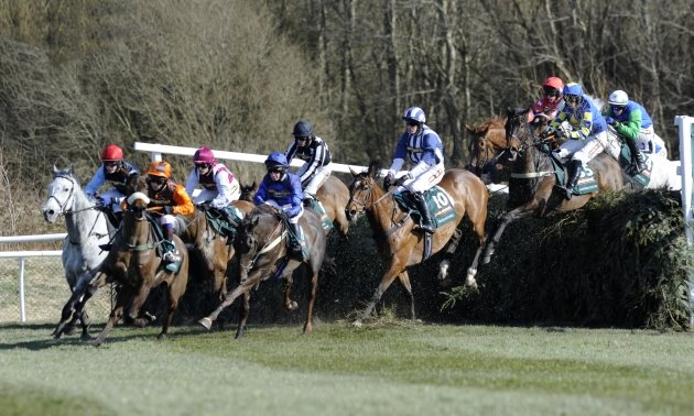 gn_2013_fence_630x37810.jpg