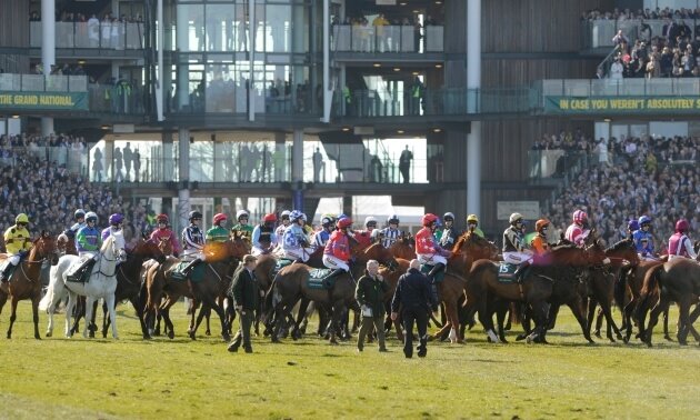 gn_2013_stands_630x37810.jpg