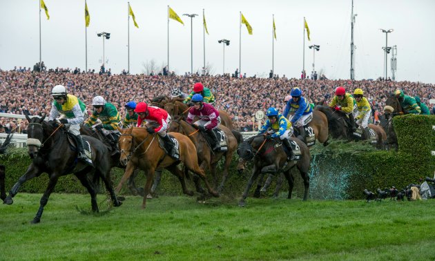 grand_national_16_fence_630_x_3780.jpg