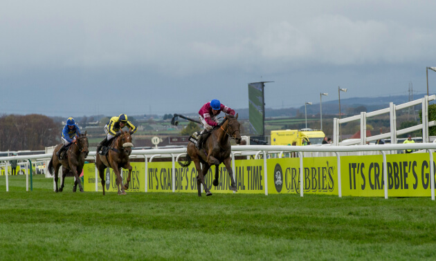 grand_national_16_finish_rule_the_world_the_last_samuri_vics_canvas_630_x_3784.jpg