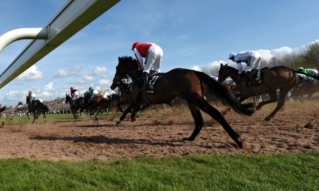 grand_national_runners_630_x_3780.jpg