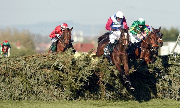 one_for_arthur_grand_national_fence_630x37813.jpg