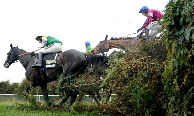 rule_the_world_grand_national_fence_630_x_3780.jpg