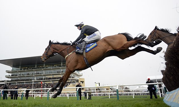 seeyouatmidnight_fence_close-up_cheltenham_630_x_3780.jpg