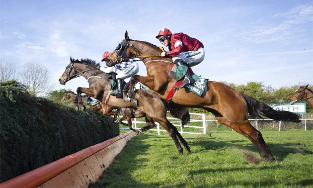 tiger_roll_aintree_fences_6300.jpg