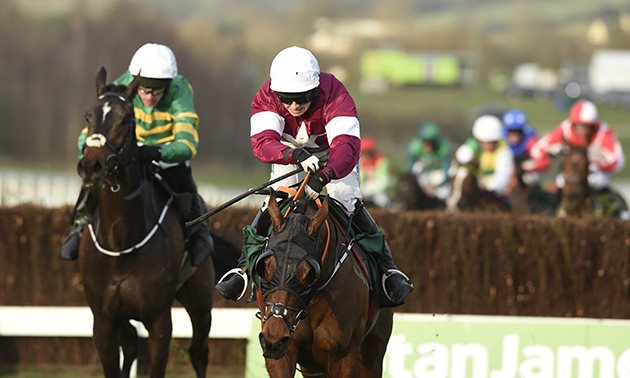 tiger_roll_cheltenham_close-up_630_x_3784.jpg