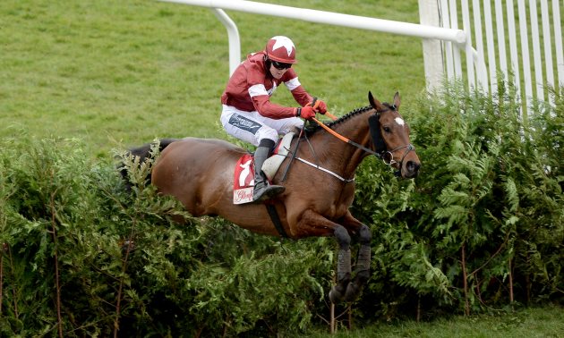 tiger_roll_cross_country_fence_cheltenham_630_x_3786.jpg