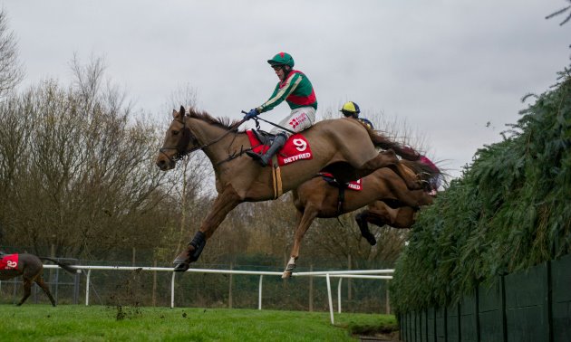 vieux_lion_rouge_aintree_fence_630_x_3783.jpg