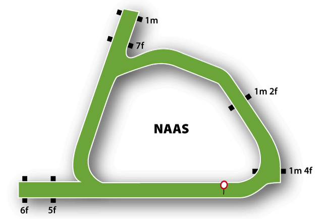 Naas map
