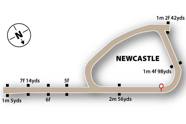 Newcastle map