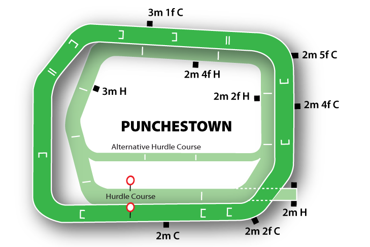 Punchestown map