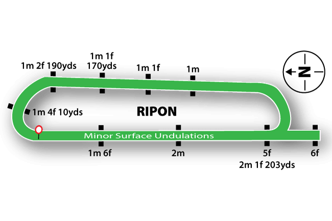 Ripon map