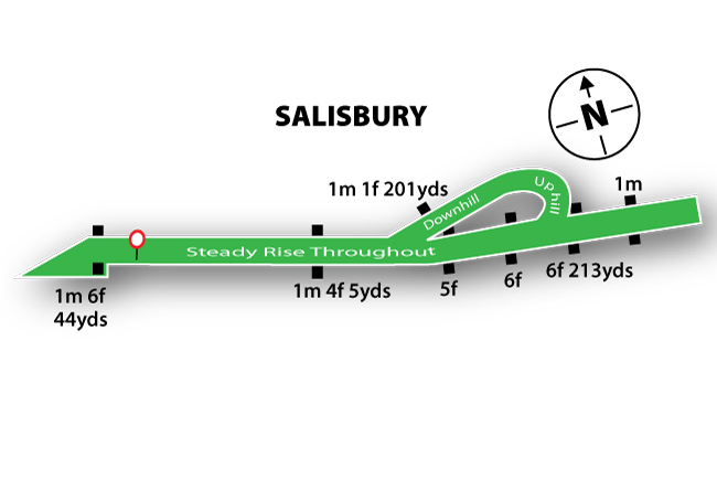 Salisbury map