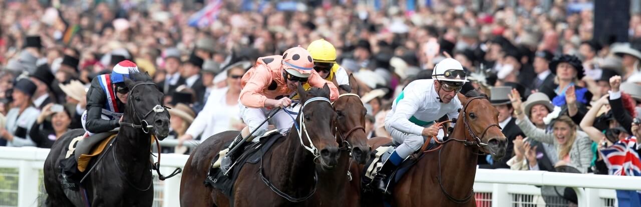 royal ascot black caviar