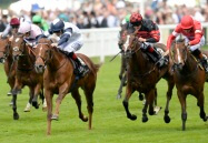 Royal Ascot News