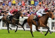 Royal Ascot Guide